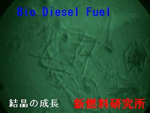 BDF 低温結晶の成長